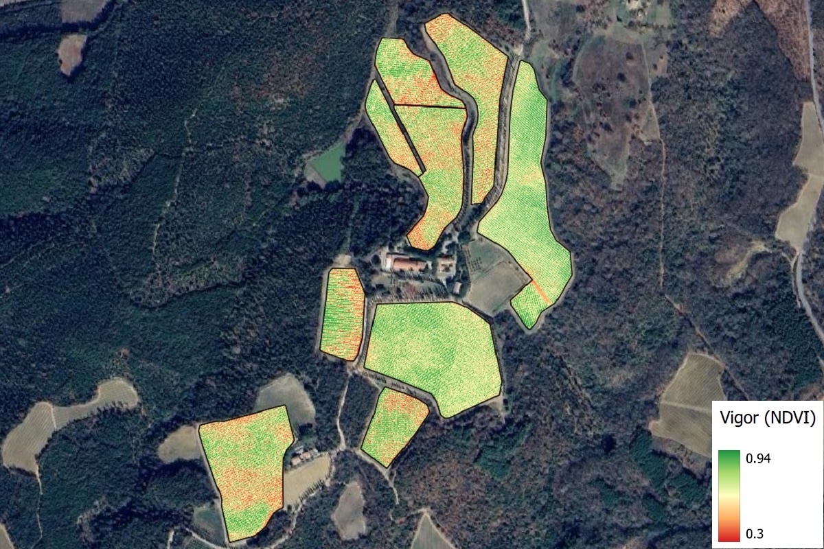 Le mappe di vigore offrono ogni anno una radiografia dettagliata della situazione reale delle piante